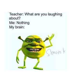 Meet your Posher, Laney